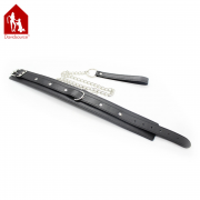 Кляпы, Ошейники