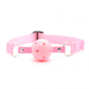 Кляпы, Ошейники