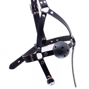 Кляпы, Ошейники