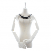 Кляпы, Ошейники