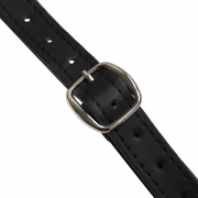 Кляпы, Ошейники