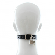 Кляпы, Ошейники