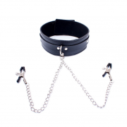 Кляпы, Ошейники