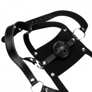 Кляпы, Ошейники