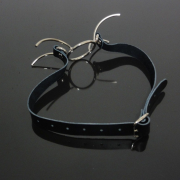 Кляпы, Ошейники