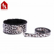 Кляпы, Ошейники