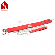 Кляпы, Ошейники