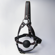 Кляпы, Ошейники