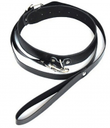 Кляпы, Ошейники