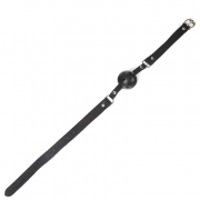 Кляпы, Ошейники