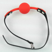 Кляпы, Ошейники