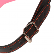 Кляпы, Ошейники