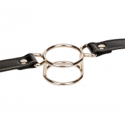 Кляпы, Ошейники