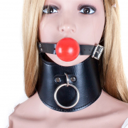 Кляпы, Ошейники