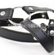 Кляпы, Ошейники