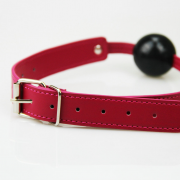 Кляпы, Ошейники