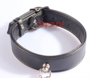 Кляпы, Ошейники