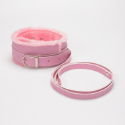 Кляпы, Ошейники