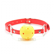 Кляпы, Ошейники