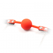 Кляпы, Ошейники