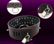 Кляпы, Ошейники