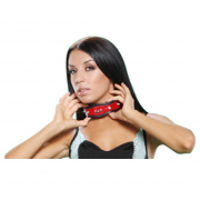 Кляпы, Ошейники