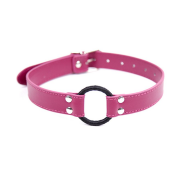 Кляпы, Ошейники