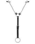 БДСМ и фетиш