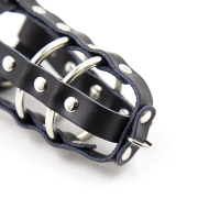 БДСМ і фетиш