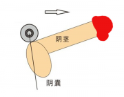 Увеличение члена