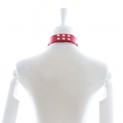 Кляпы, Ошейники