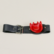 Кляпы, Ошейники