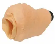 Вагины и мастурбаторы