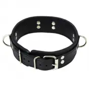 Кляпы, Ошейники