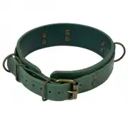 Кляпы, Ошейники