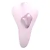 Вибратор в трусики Adrien Lastic Temptation + APP photo 2