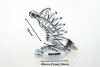 Насадка на пенис металлическая Master Series cock cage, 40/45/50 мм photo 3