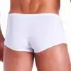 Мужские трусы боксеры HUSTLER FUNDIES PIMP SHORTS WHITE SM photo 2