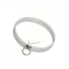 Ошейник. Нержавеющая сталь. photo 5
