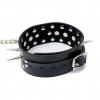 Кожаный черный ошейник с шипами и поводком photo 4