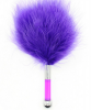 Щекоталка из пера с короткой ручкой photo 2