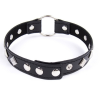 Ошейник. Черный. photo 2