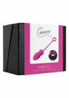 Виброяйцо с дистанционным управлением Caresse ToyJoy Embrace I photo 2