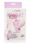 Стимулятор Butterfly Remote Venus GButterfly Remote Venus G 7,5х2,5 см photo 3