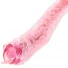 Вибратор SINFUL SWAY TAIL FRISSLE PINK photo 2