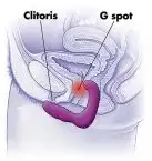 Вибратор G-точки ROCK CHICK PINK photo 6