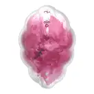 Вакуумный вибратор Satisfyer Cloud Dancer (Red) photo 5