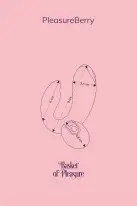 Вібратор для пар FairyGasm PleasureBerry violet, зарядний кейс, пульт ДК photo 2