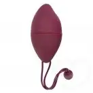 Беспроводное виброяйцо Rocks Off Ro-Duet photo 2