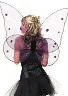 Крылья бабочки BUTTERFLY WING photo 2